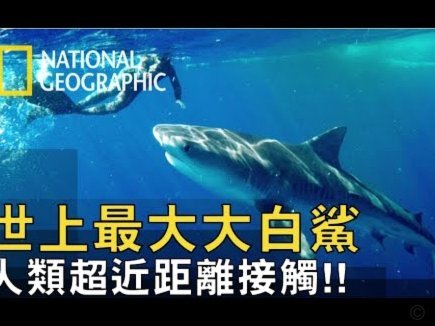 海牛3-1逆转十人海港，罗森文世界波叶博亚传射立功