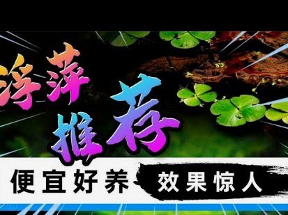 据说，浮岛敏将会在48小时内下课！