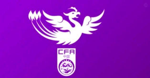 足球报：U20女足主帅贝尔可能离任，外界传闻王洪亮或接手