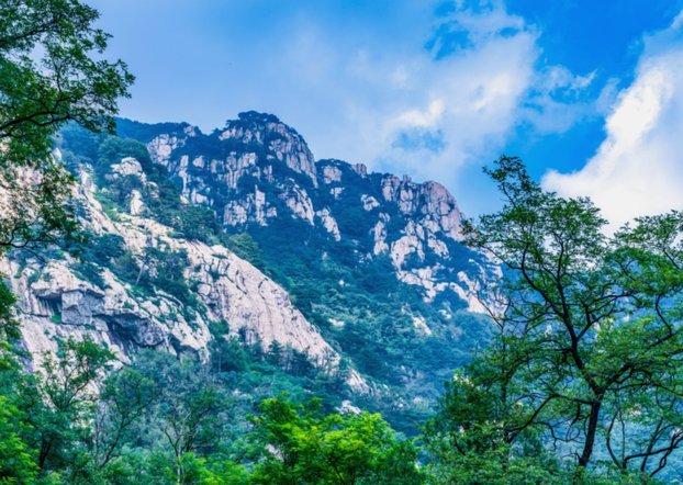 依木兰如何发展其实取决于山东泰山