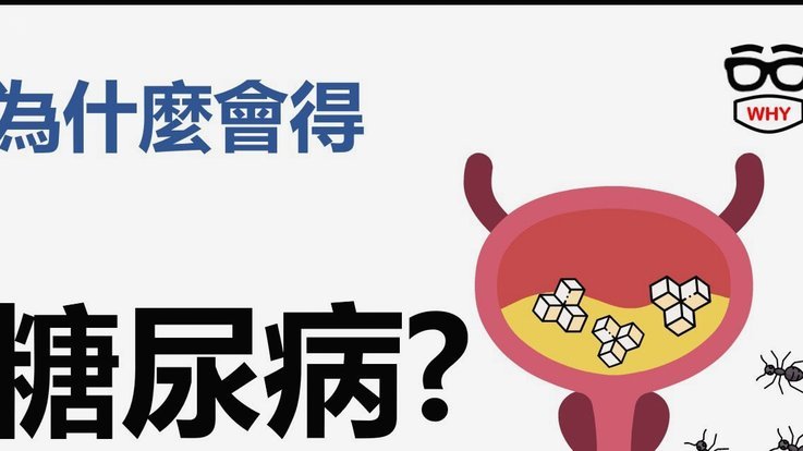 前国脚：乌帕站位好速度快对抗凶狠，他和萨利巴很好地互补