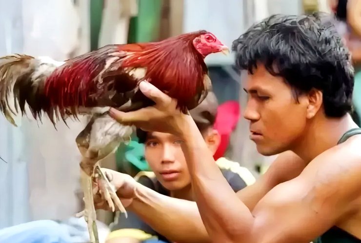 一个野鸡比赛的冠军，值得那么搞七搞八吗？