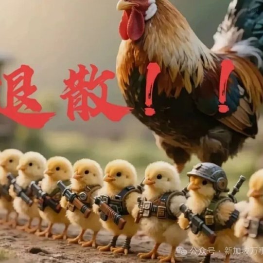 一个野鸡比赛的冠军，值得那么搞七搞八吗？