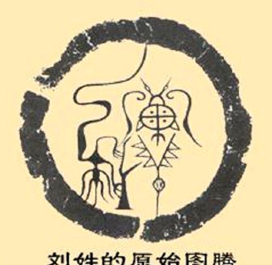 刘凯源下放C队训练引担忧，看似机遇实则风险